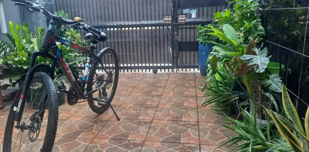 Sepeda MTB - Sepeda Evergreen EG 225 sz 26
