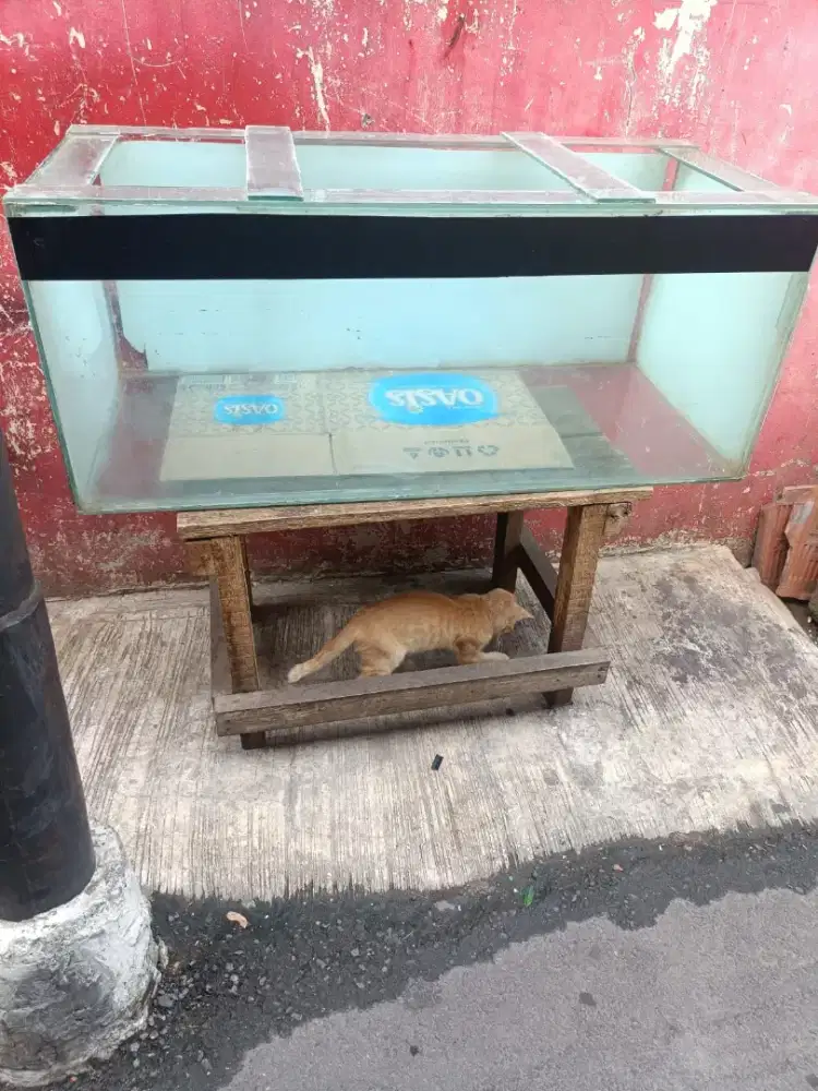 Aquarium Layak Guna