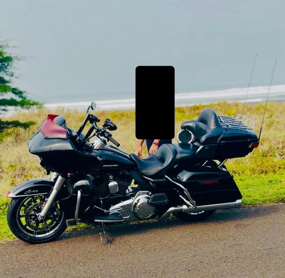 Harley ultra rg sg 2015