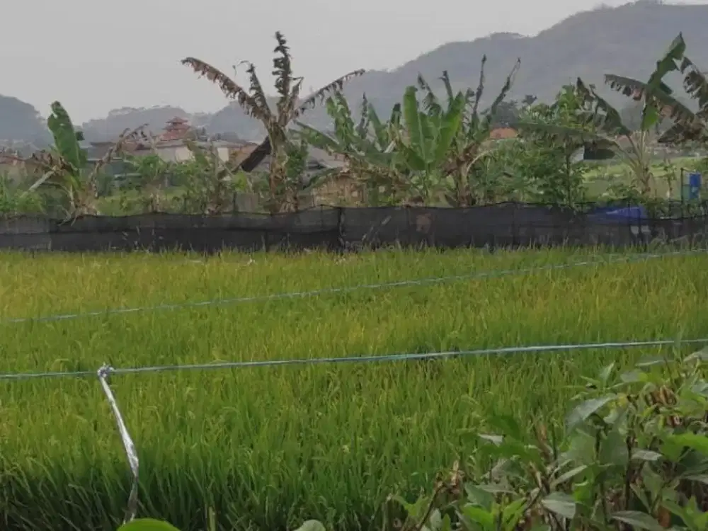 DIJUAL CEPAT LAHAN KOMERSIL DI KAWASAN BATU JAJAR BANDUNG BARAT KOTA BANDUNNG