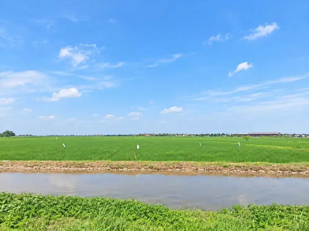 Tanah Luas di Pedes Karawang