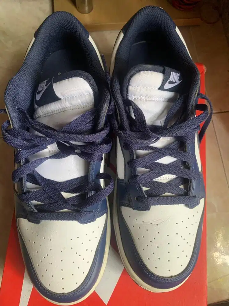 Nike dunk low next nature team navy