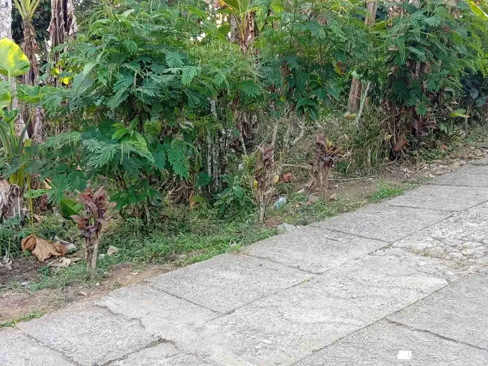 dijual tanah murah,dekat pasar kambing Kaligesing.