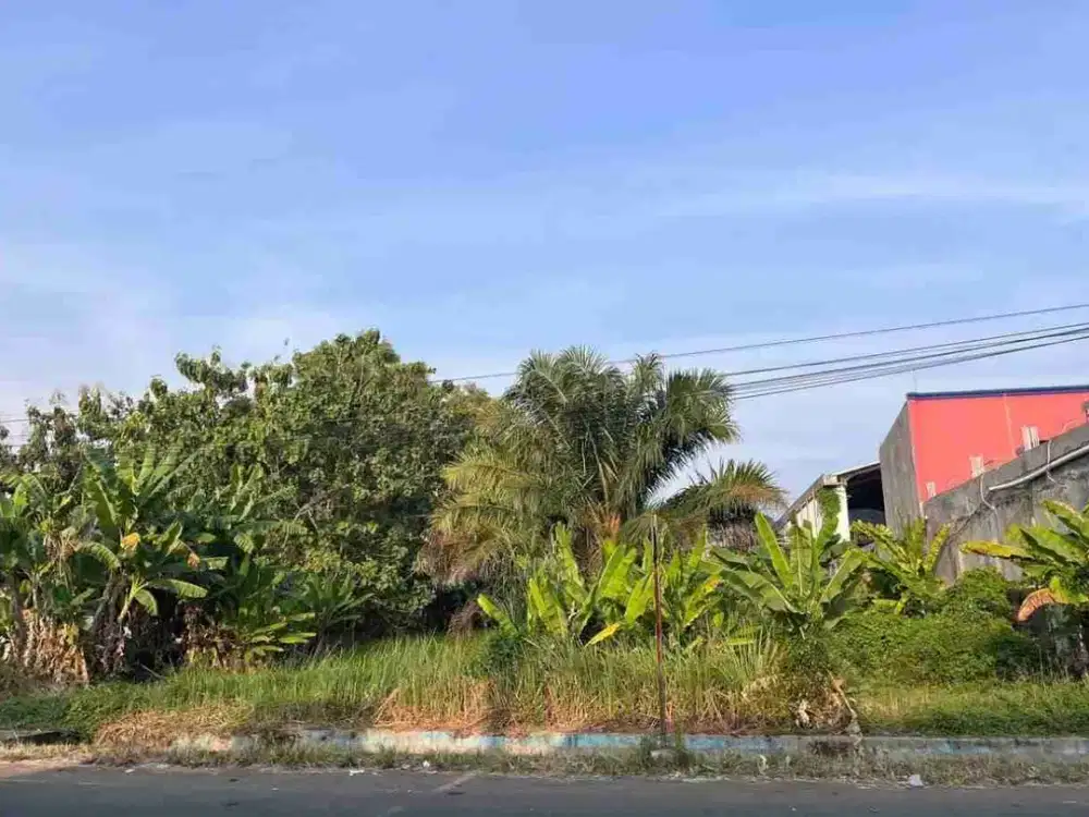 TANAH PEKARANGAN LEBAR MUKA 48 METER JL. RINJANI CILACAP
