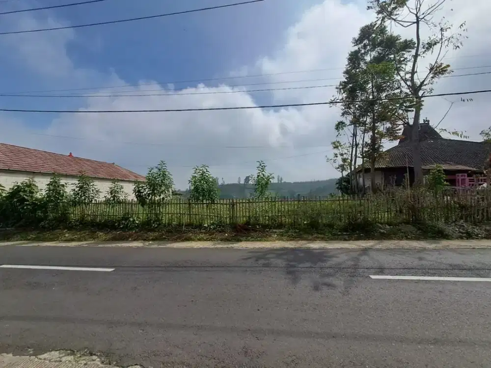 H1 Dijual Tanah Kebun Luas di Gubuk Klakah Arah Bromo Malang