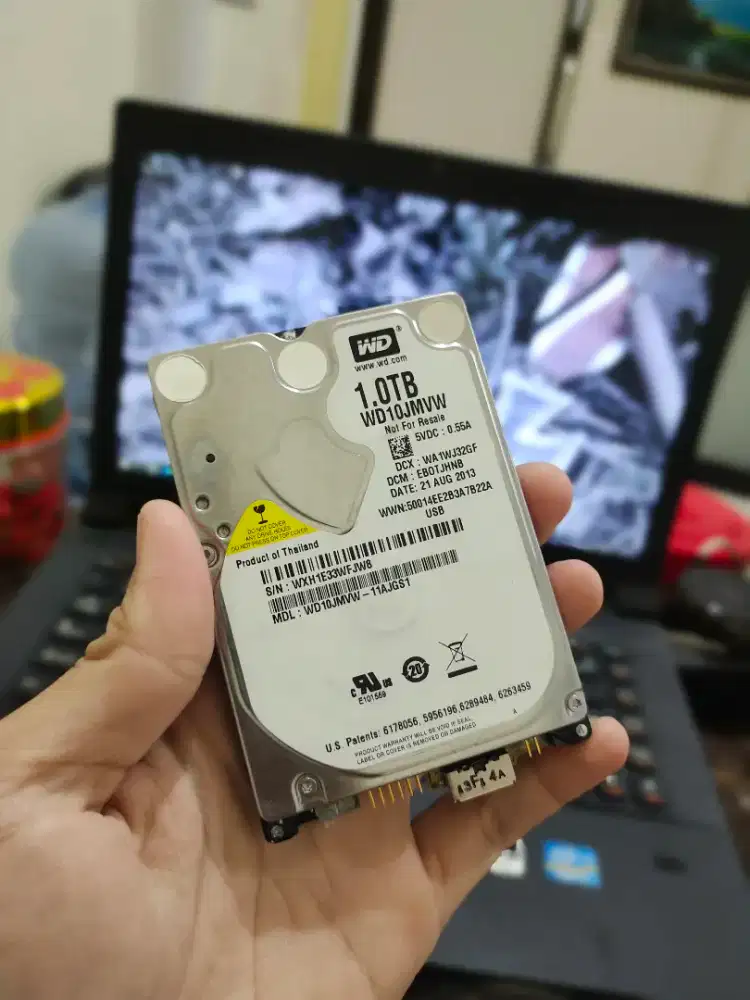 HDD Eksternal WD 1TB second non test / Gambling / anggap mati