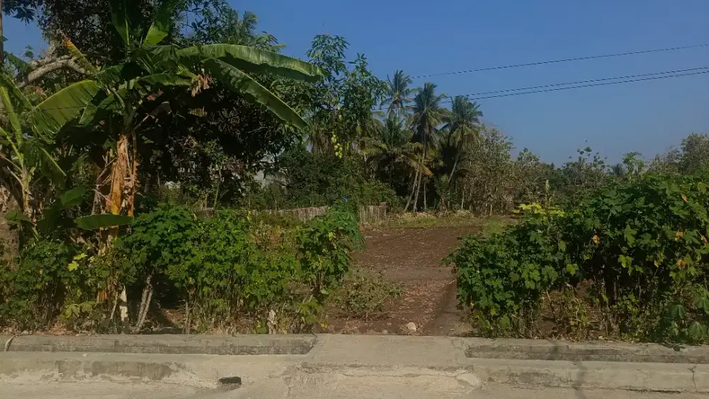 Dijual Tanah Pekarangan Lokasi Strategis Dekat Pasar Pracimantoro