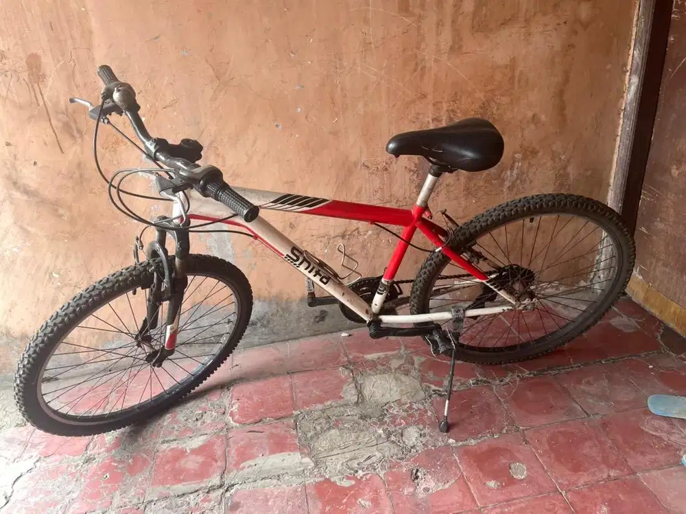 Dijual sepedea dewasa