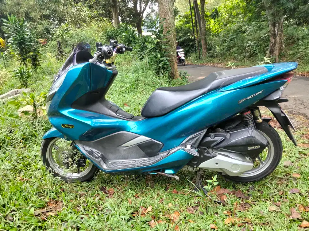 PCX 2021 Ajib Mangga Alih Rawat