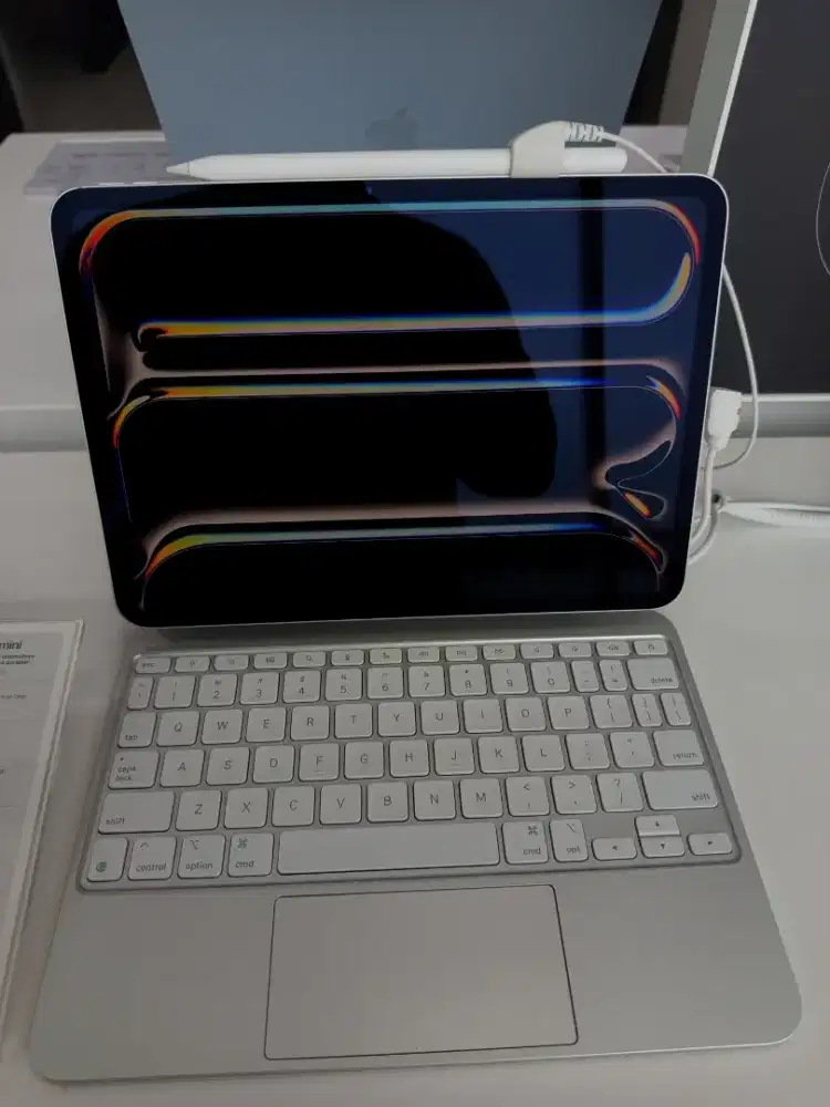 Ipad Pro 11inci 256GB