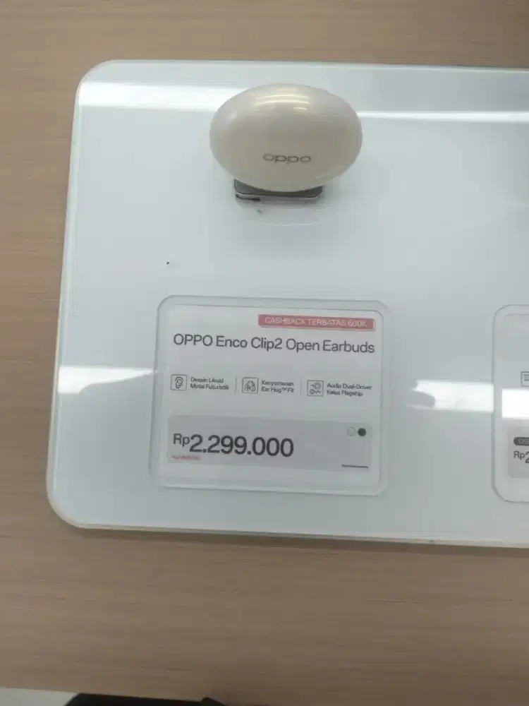 Oppo Enco clip2 Open Earbuds
