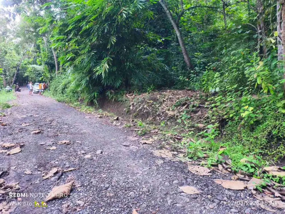 Tanah Murah  di Panjatan Kulon Progo