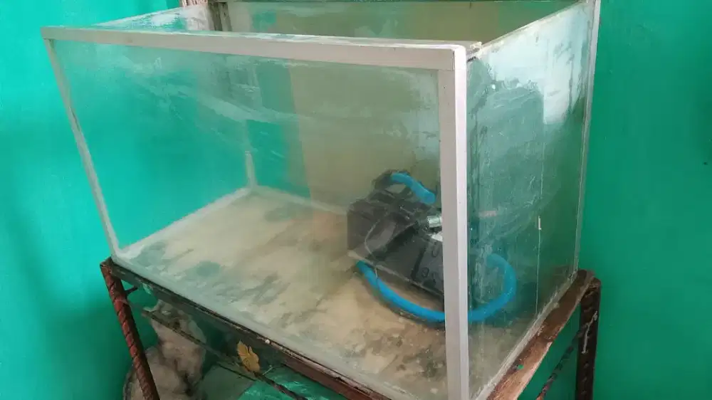 Aquarium kaca bekas ikan arwana gak ada minus