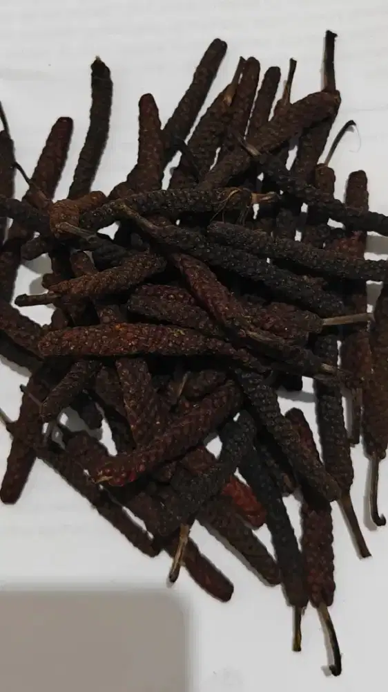 Cabe Puyang bahan jamu