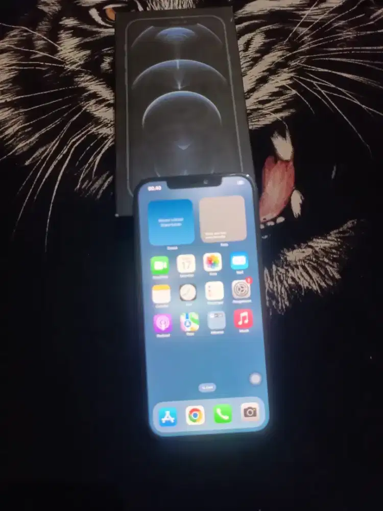 Iphone12 pro max 128gb (bisa tukar tambah)