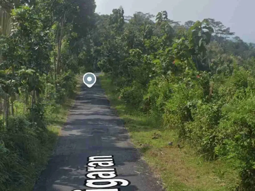 Tanah murah view pegunungan menoreh di Kali bawang Kulon Progo