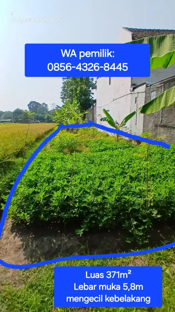DIJUAL CEPAT Tanah 371 m², Timbulharjo, Sewon. SHM-sawah