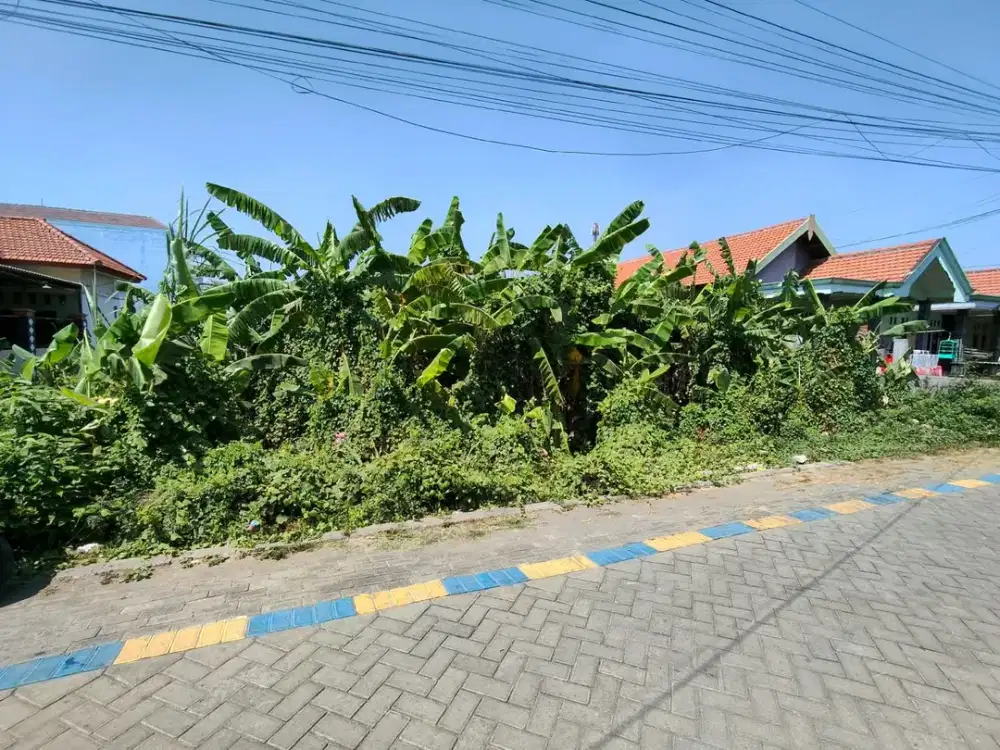 Jual Tanah Siap Bangun Lokasi Sukolegok Suko Dekat Wage Aloha Sidoarjo