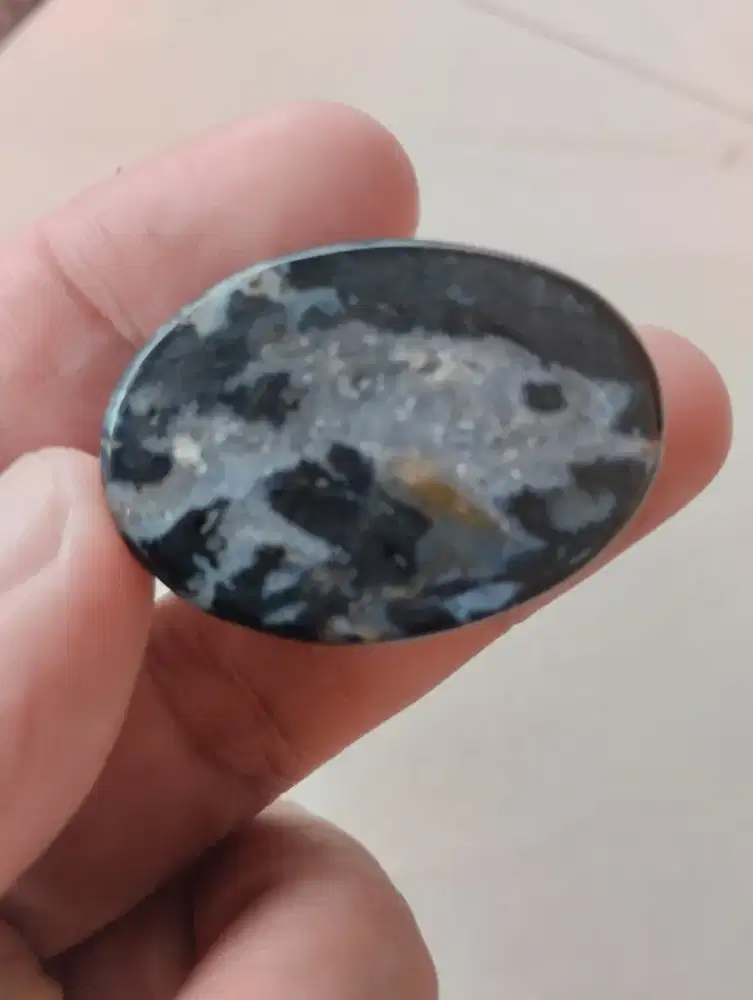 Batu AGATE fosil pohon aren gambar ikan