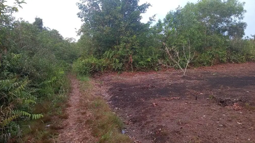 Dijual sebidang tanah SKGR 30 m x 23,5 m