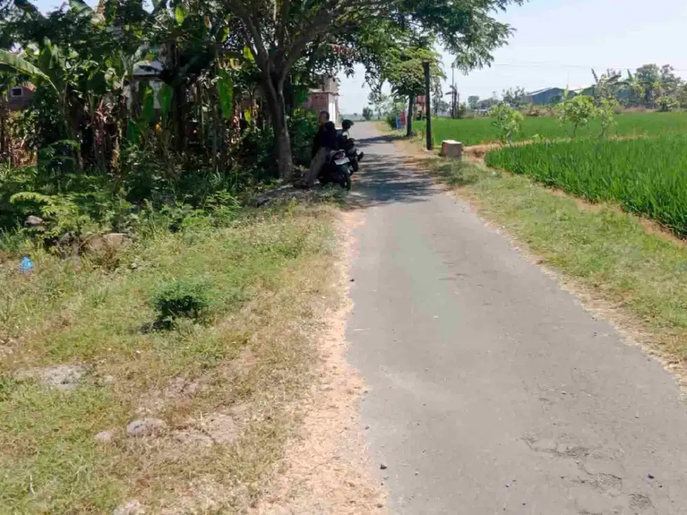 Kavling 211m² muka 12m jln 5,5m , sidorejo Bendosari sukoharjo :