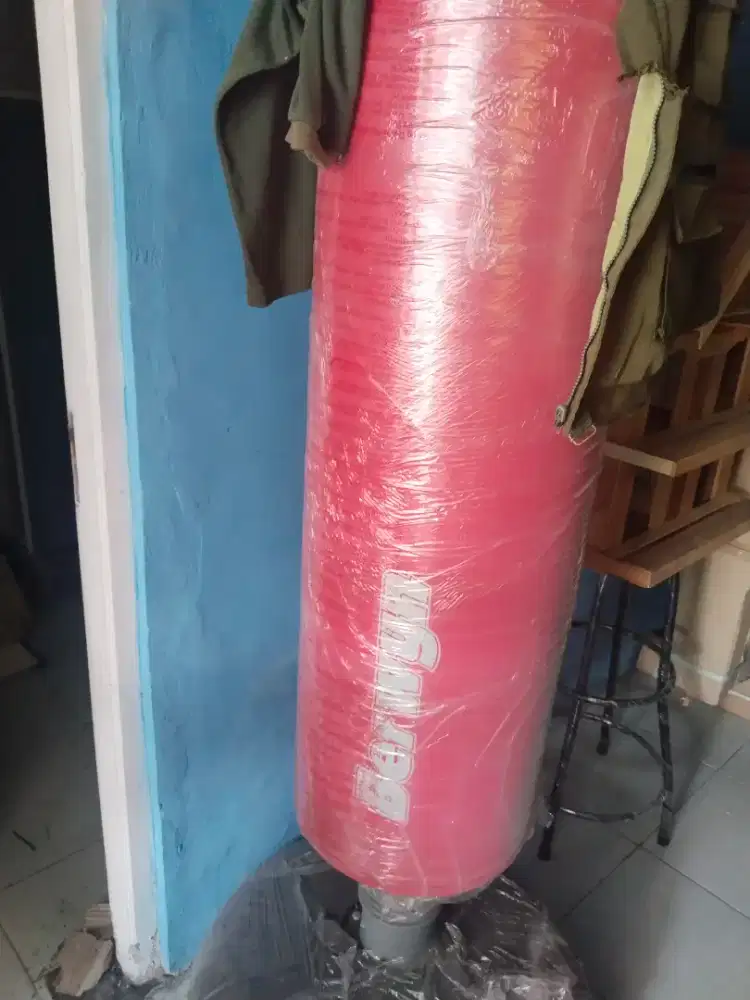 Samsak tinju profesional