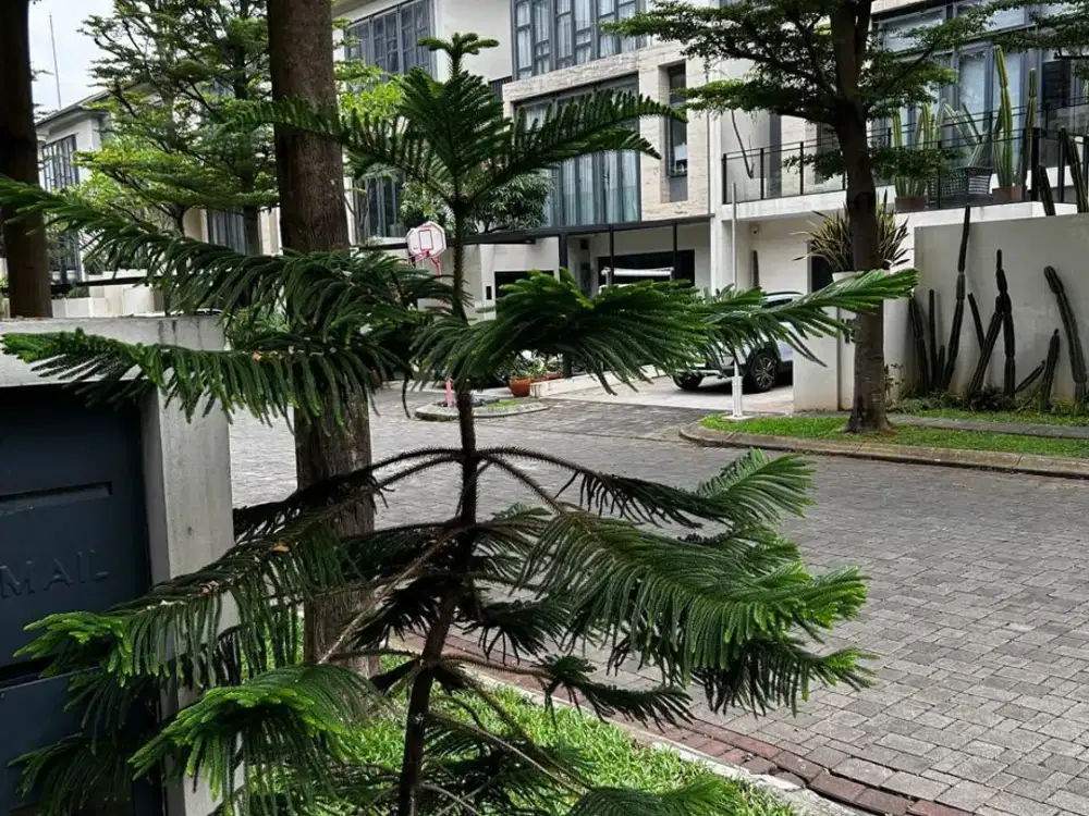 Dijual Rumah Rapih Terawat 3 Lantai  (9x20).di Cluster Navapark BSD