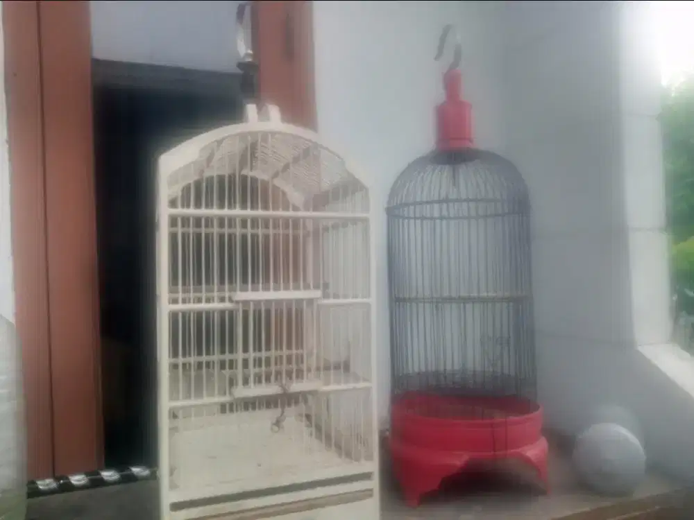 Kandang Burung Kotak dan Bulat