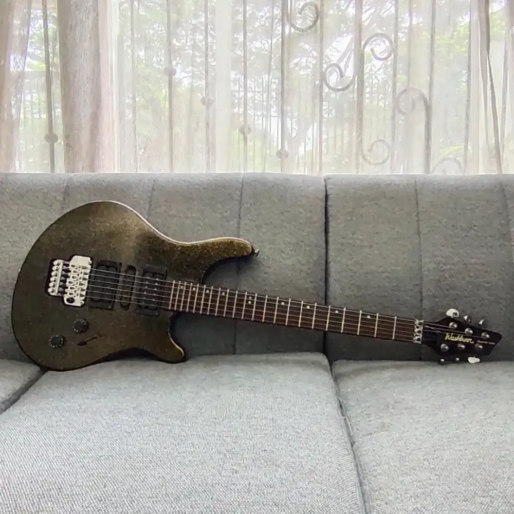Washburn maverick