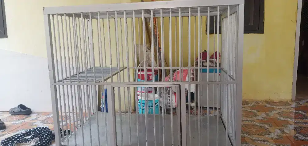 Kandang Kucing stainless