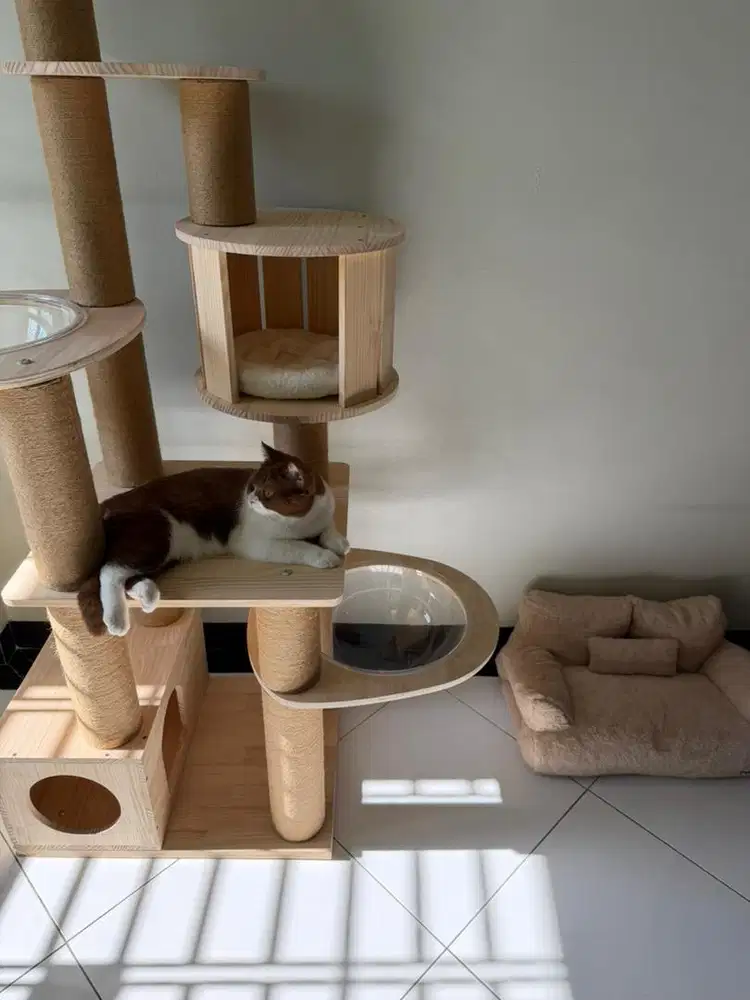 Sofa kucing bonus bed