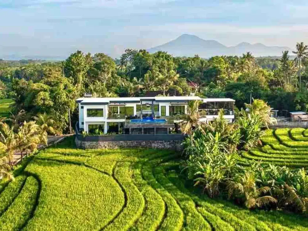 Villa Mewah View Sawah Selamdeg Timur Dekat Pantai Beraban & Pasut