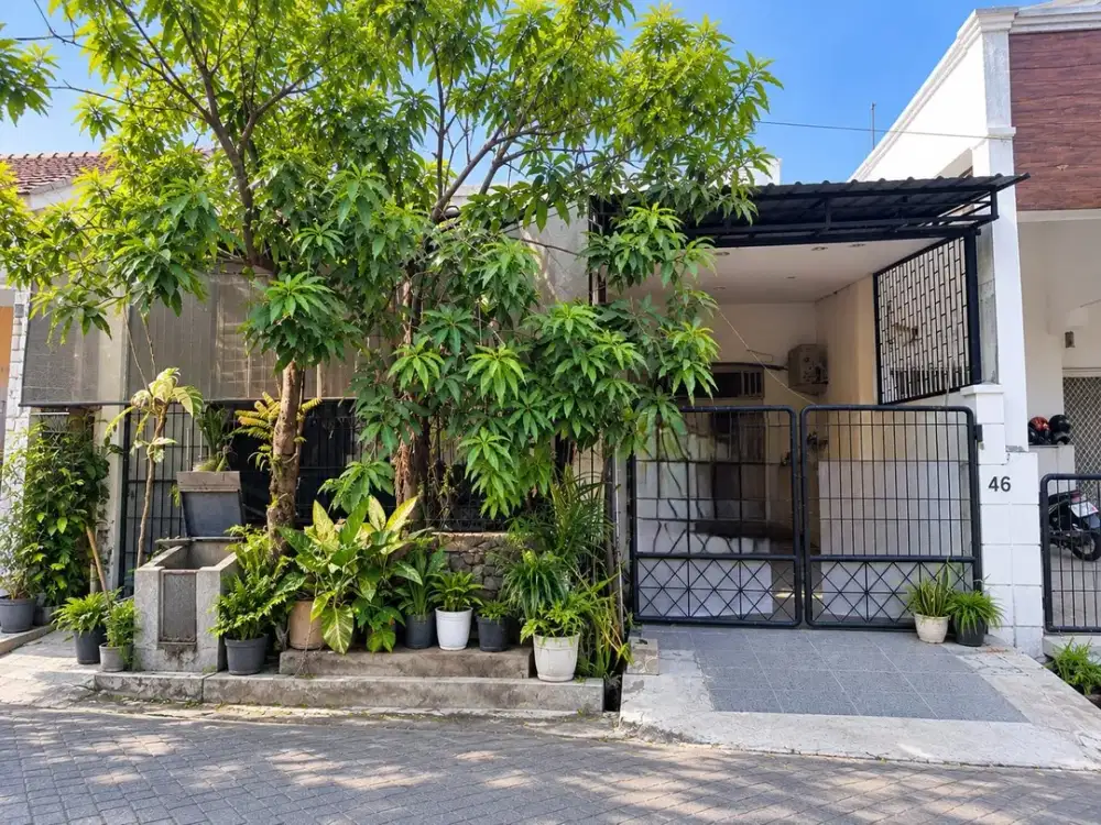 CA1262 DIJUAL RUMAH 1 LT MURAH NYAMAN SHM DI KEPUTIH SURABAYA