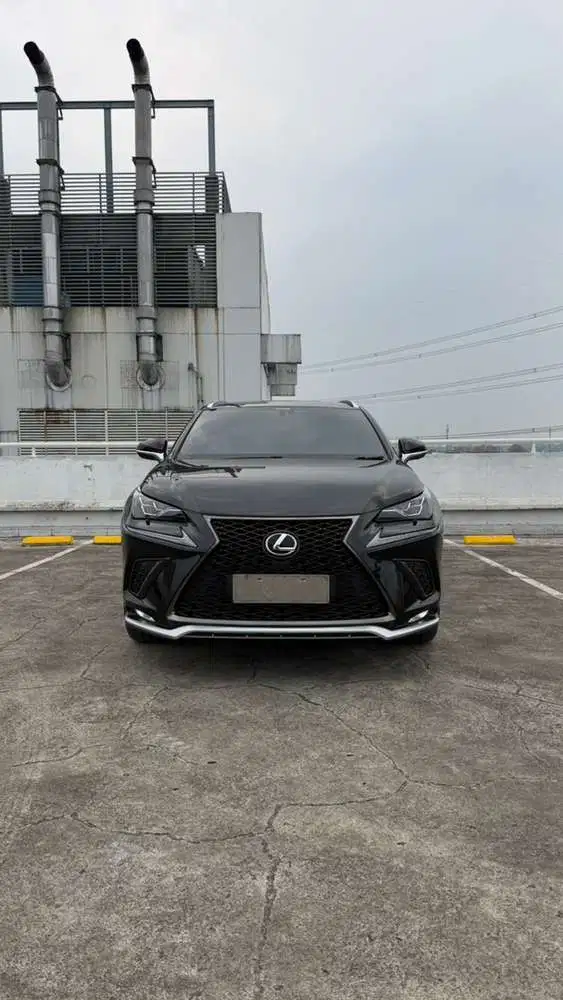 Lexus NX300 2019 Bensin