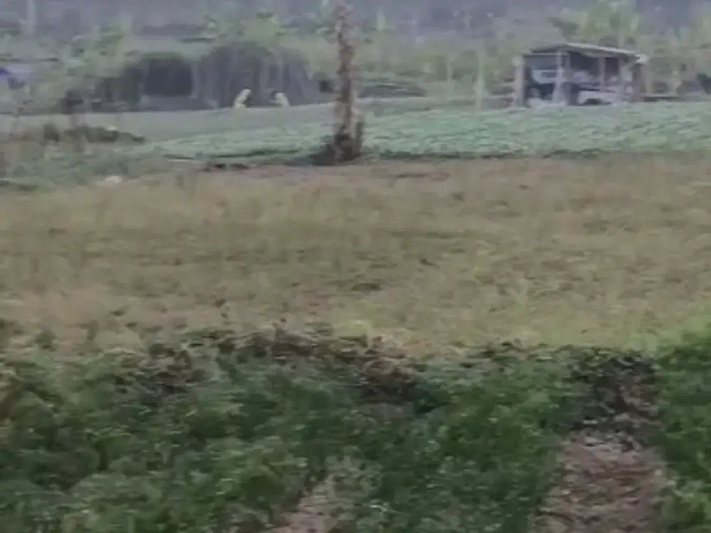 Jual Tanah Puncak SHm View Panoramic Ada Sungai Akses BUs