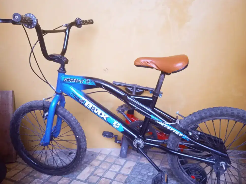 Sepeda anak laki-laki