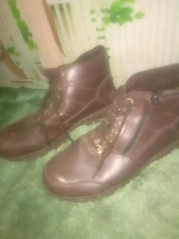 Sepatu laki dewasa