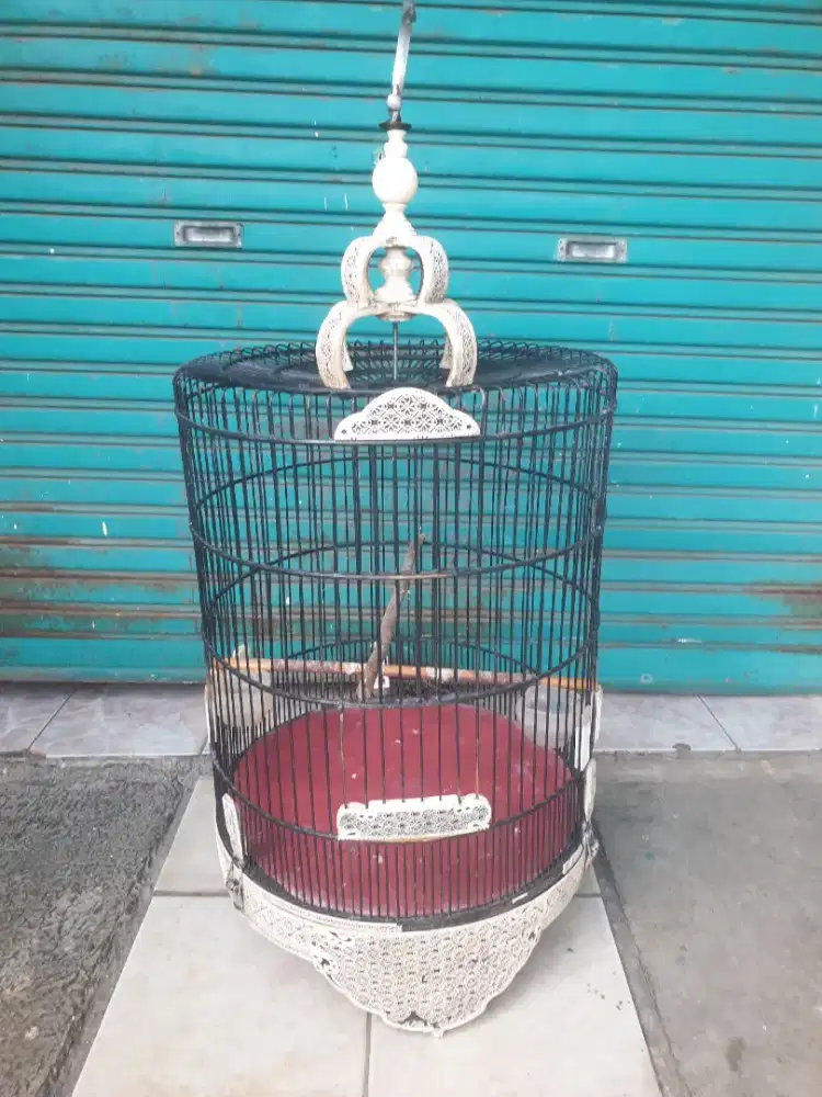 Jual Sangkar Burung