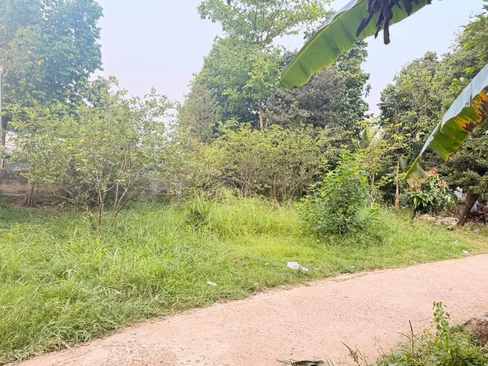 Tanah kosong luas 171 m2 tugu lele ciseeng