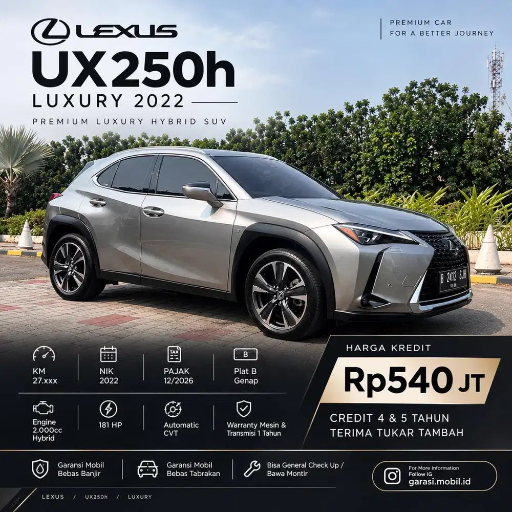 Lexus UX250h 2022 2.0 Hybrid Abu Abu