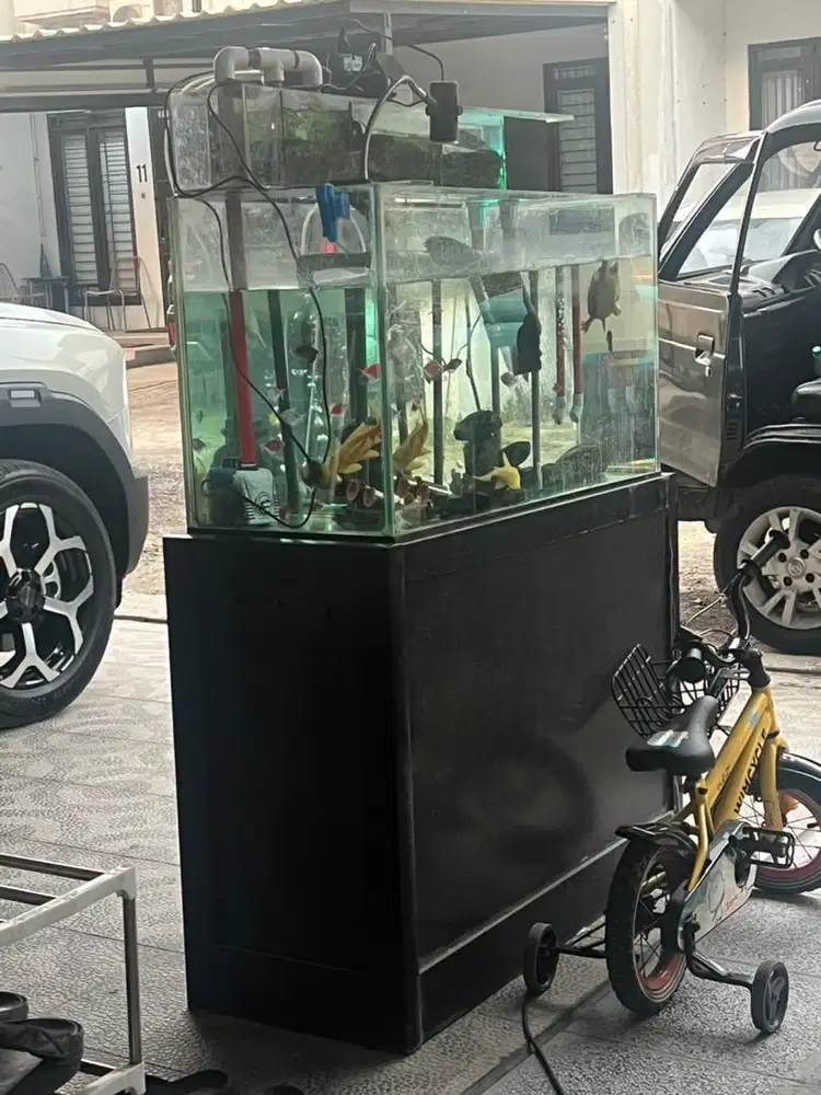 Aquarium full set 100x40x54
