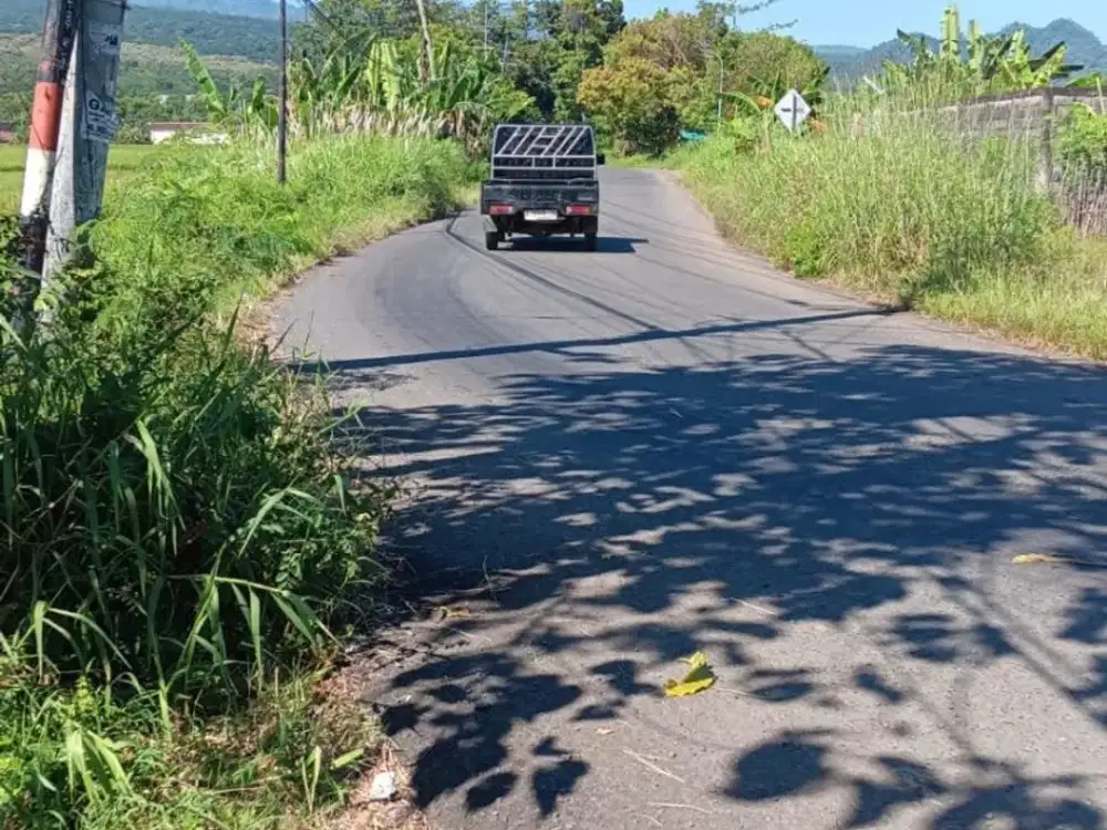 Jual rugi Tanah Purwodadi (hanya 10 menit dr Tol purwodadi)
