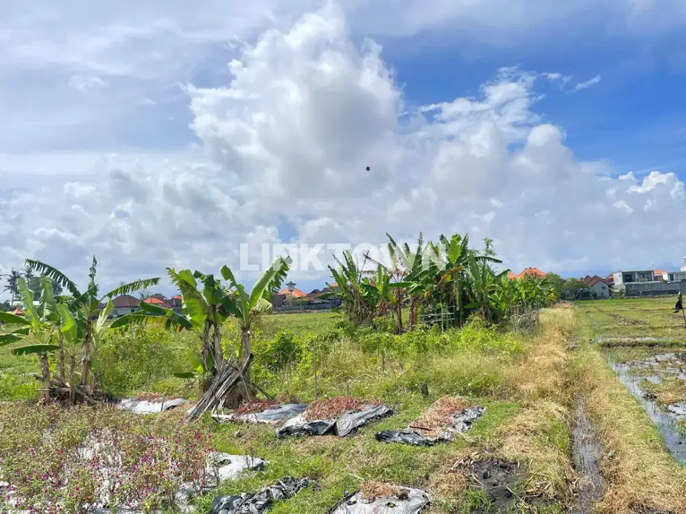 JUAL CEPAT KAVLING HADAP PANTAI dan SAWAH ZONA HIJAU MENGWI BADUNG BALI