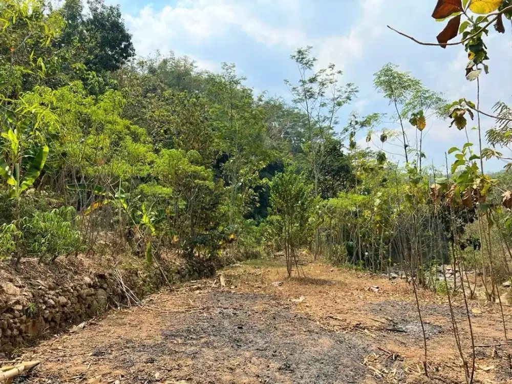 Tanah Super Luas & Murah hanya 400 juta ~ Kerjo, Karanganyar