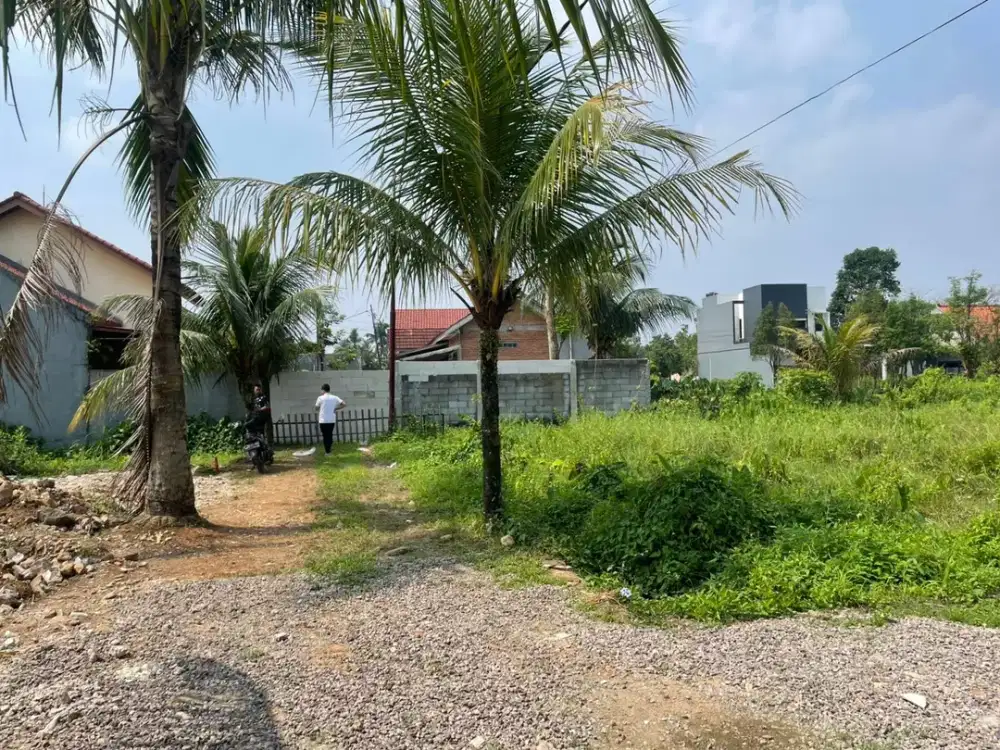 Tanah Kavling Dramaga Termurah - SHM Ready - Lokasi Strategis Dekat IPB - Cocok Kost/Hunian