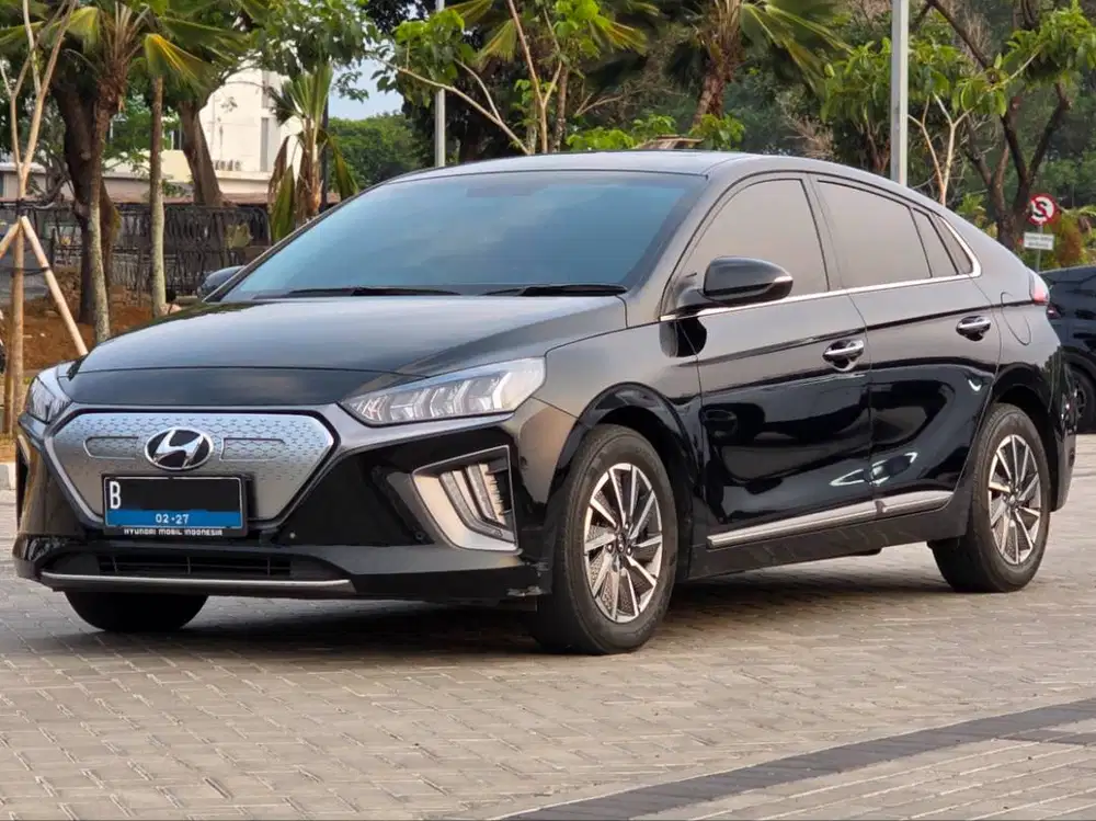 Hyundai Ioniq EV 2021 Battery Health 100%