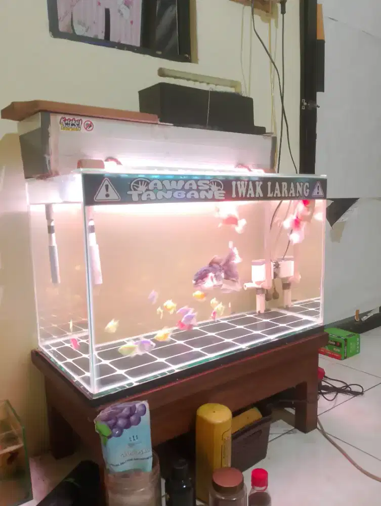 Aquarium 60x30x35 fullset