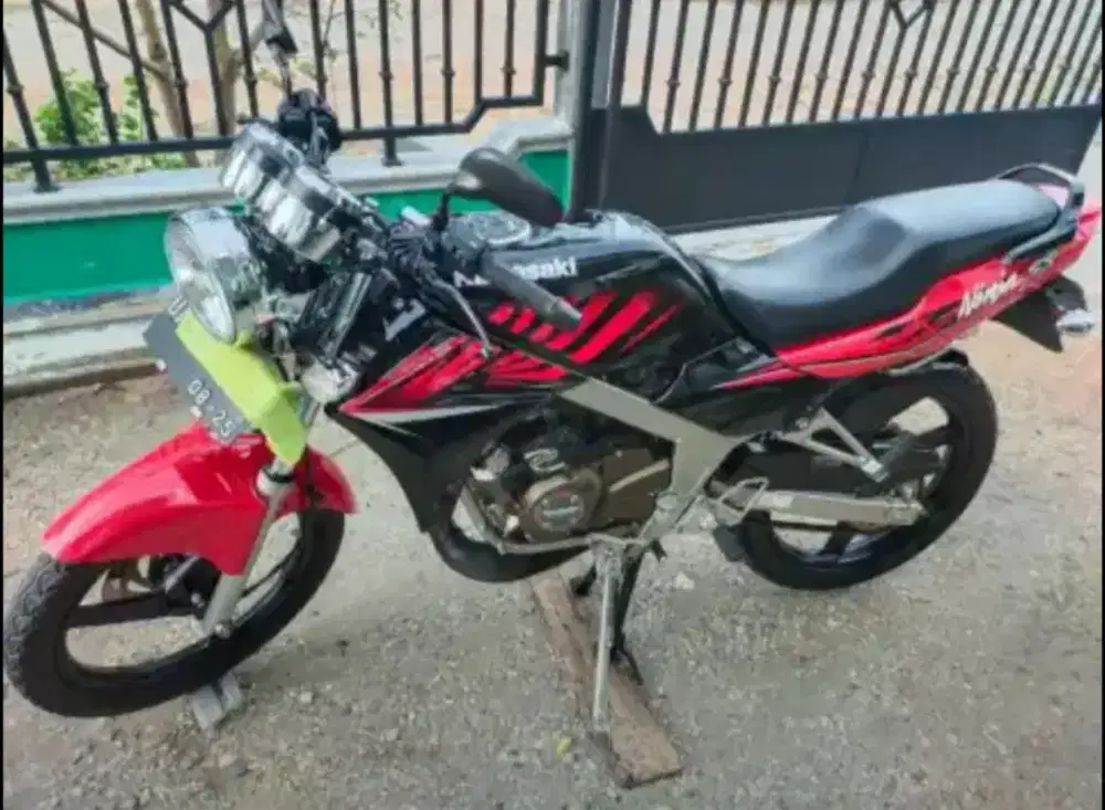 Ninja SS 2015 zebra