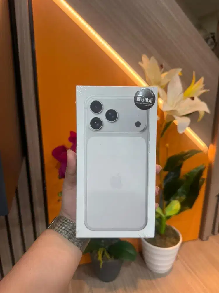 Ip 17 pro 256 silver new