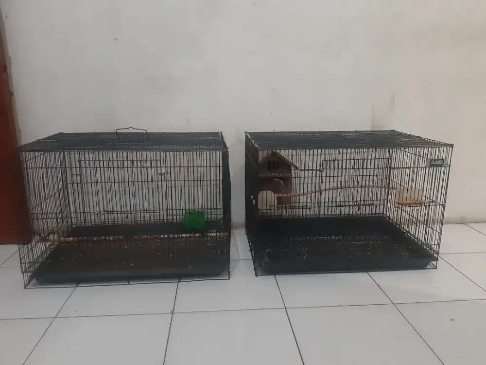 Jual aja kandang ternak besi kotak